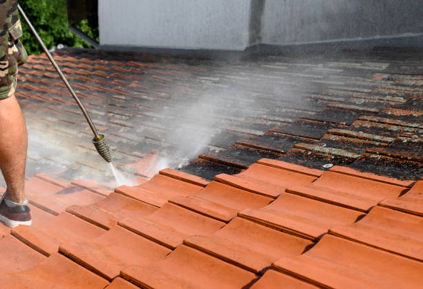 Best Power Washing Near Me  in Somerset, KY